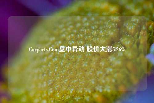 Carparts.Com盘中异动 股价大涨5.26%