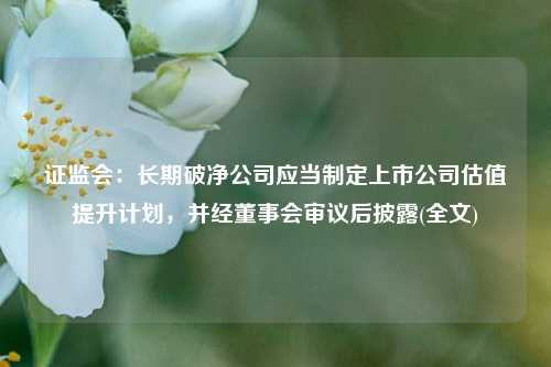 证监会：长期破净公司应当制定上市公司估值提升计划，并经董事会审议后披露(全文)