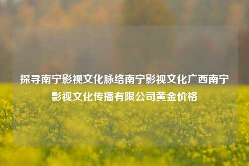 探寻南宁影视文化脉络南宁影视文化广西南宁影视文化传播有限公司黄金价格