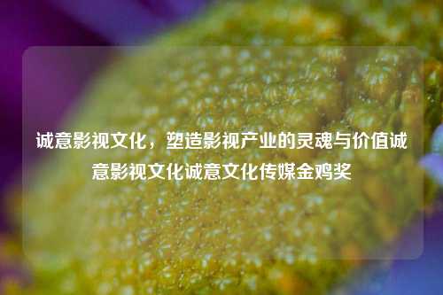 诚意影视文化，塑造影视产业的灵魂与价值诚意影视文化诚意文化传媒金鸡奖