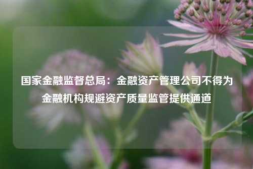 国家金融监督总局：金融资产管理公司不得为金融机构规避资产质量监管提供通道