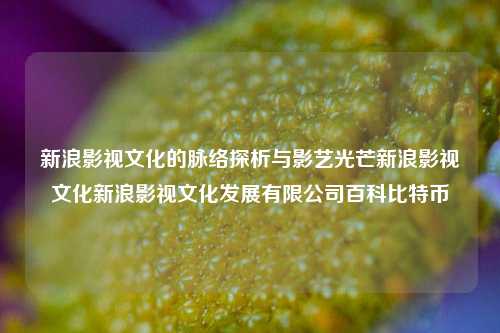 新浪影视文化的脉络探析与影艺光芒新浪影视文化新浪影视文化发展有限公司百科比特币