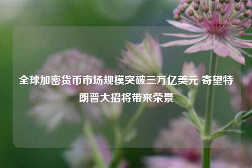 全球加密货币市场规模突破三万亿美元 寄望特朗普大招将带来荣景