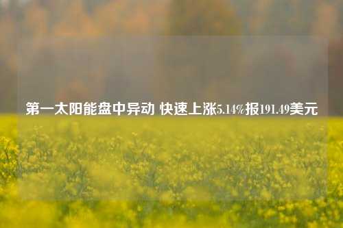 第一太阳能盘中异动 快速上涨5.14%报191.49美元