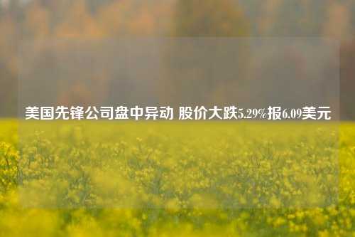 美国先锋公司盘中异动 股价大跌5.29%报6.09美元