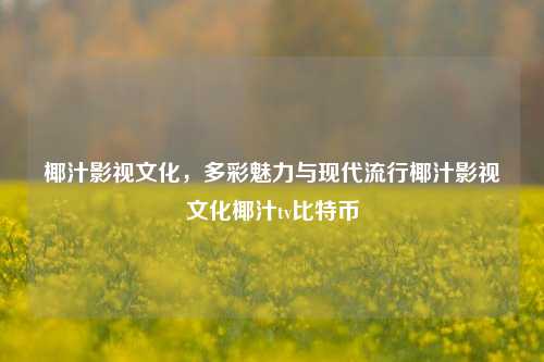 椰汁影视文化，多彩魅力与现代流行椰汁影视文化椰汁tv比特币