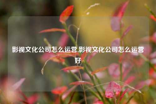 影视文化公司怎么运营,影视文化公司怎么运营好