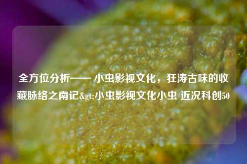 全方位分析—— 小虫影视文化，狂涛古味的收藏脉络之南记>小虫影视文化小虫 近况科创50