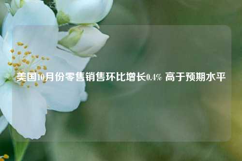 美国10月份零售销售环比增长0.4% 高于预期水平