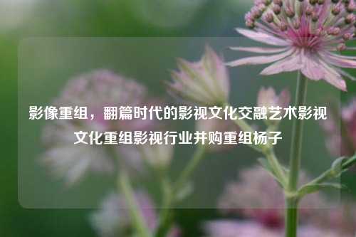 影像重组，翻篇时代的影视文化交融艺术影视文化重组影视行业并购重组杨子