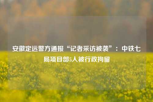 安徽定远警方通报“记者采访被袭”：中铁七局项目部5人被行政拘留