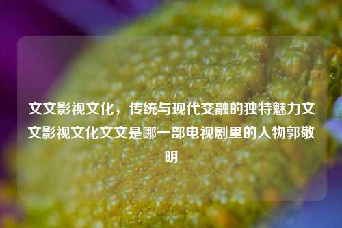 文文影视文化，传统与现代交融的独特魅力文文影视文化文文是哪一部电视剧里的人物郭敬明