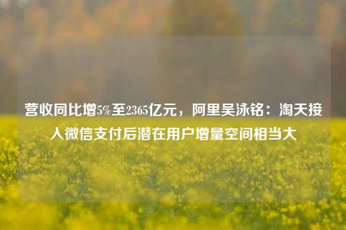 营收同比增5%至2365亿元，阿里吴泳铭：淘天接入微信支付后潜在用户增量空间相当大