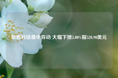 新思科技盘中异动 大幅下挫5.00%报520.90美元