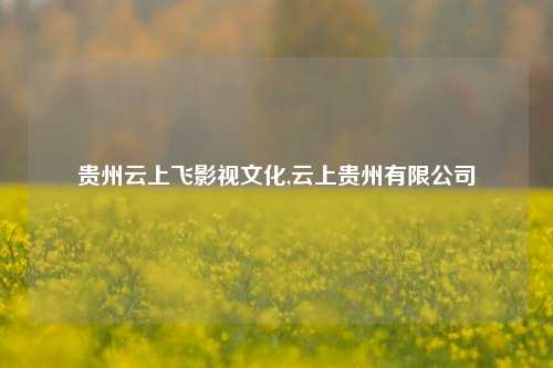 贵州云上飞影视文化,云上贵州有限公司