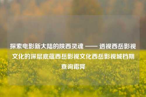 探索电影新大陆的陕西灵魂 —— 透视西岳影视文化的深层底蕴西岳影视文化西岳影视城档期查询霜降