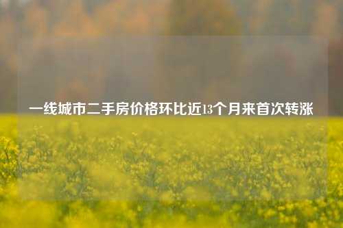 一线城市二手房价格环比近13个月来首次转涨