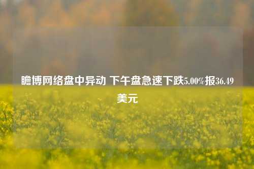 瞻博网络盘中异动 下午盘急速下跌5.00%报36.49美元