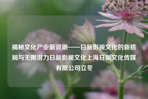 揭秘文化产业新浪潮——日新影视文化的新格局与无限潜力日新影视文化上海日新文化传媒有限公司立冬