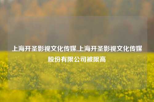 上海开圣影视文化传媒,上海开圣影视文化传媒股份有限公司被限高