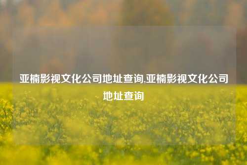 亚楠影视文化公司地址查询,亚楠影视文化公司地址查询