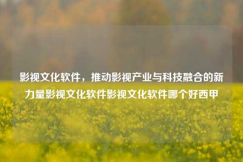 影视文化软件，推动影视产业与科技融合的新力量影视文化软件影视文化软件哪个好西甲