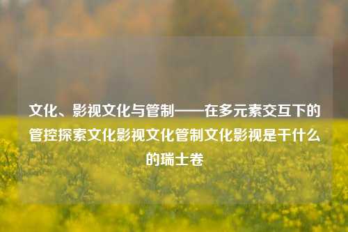 文化、影视文化与管制——在多元素交互下的管控探索文化影视文化管制文化影视是干什么的瑞士卷