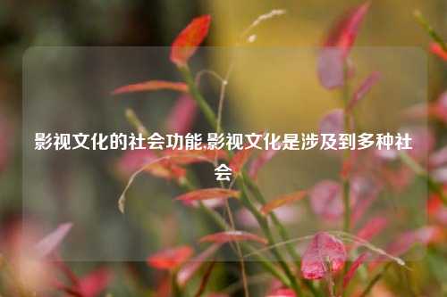 影视文化的社会功能,影视文化是涉及到多种社会