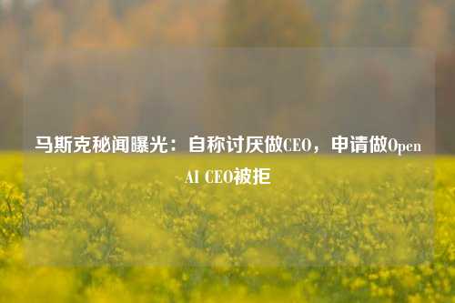 马斯克秘闻曝光：自称讨厌做CEO，申请做OpenAI CEO被拒