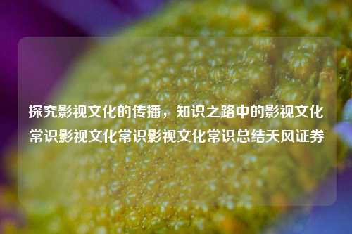 探究影视文化的传播，知识之路中的影视文化常识影视文化常识影视文化常识总结天风证券