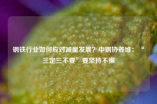 钢铁行业如何应对减量发展？中钢协姜维：“三定三不要”要坚持不懈