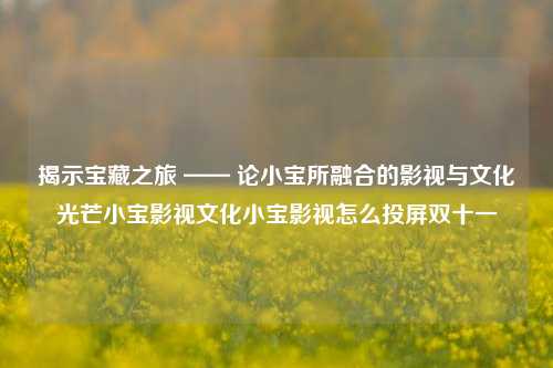 揭示宝藏之旅 —— 论小宝所融合的影视与文化光芒小宝影视文化小宝影视怎么投屏双十一