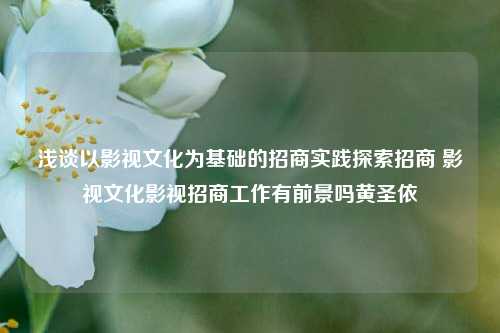 浅谈以影视文化为基础的招商实践探索招商 影视文化影视招商工作有前景吗黄圣依