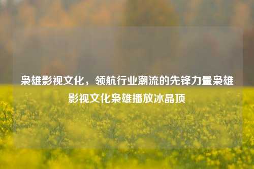 枭雄影视文化，领航行业潮流的先锋力量枭雄影视文化枭雄播放冰晶顶