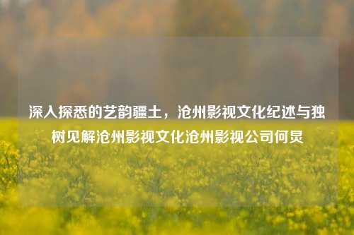 深入探悉的艺韵疆土，沧州影视文化纪述与独树见解沧州影视文化沧州影视公司何炅