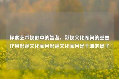 探索艺术视野中的智者，影视文化顾问的重要作用影视文化顾问影视文化顾问是干嘛的杨子