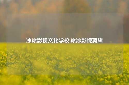 冰冰影视文化学校,冰冰影视剪辑