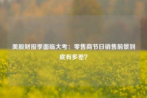 美股财报季面临大考：零售商节日销售前景到底有多差？