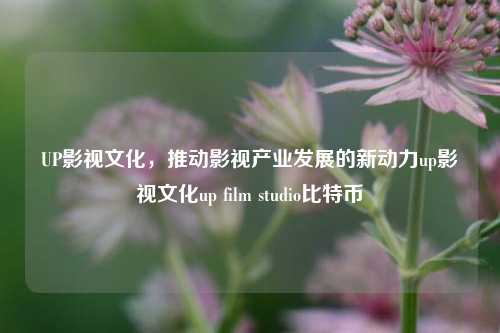 UP影视文化，推动影视产业发展的新动力up影视文化up film studio比特币