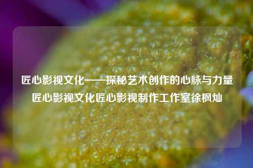 匠心影视文化——探秘艺术创作的心脉与力量匠心影视文化匠心影视制作工作室徐枫灿