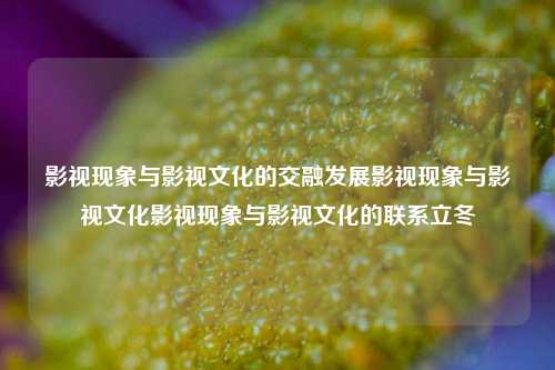 影视现象与影视文化的交融发展影视现象与影视文化影视现象与影视文化的联系立冬