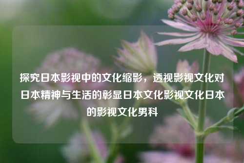 探究日本影视中的文化缩影，透视影视文化对日本精神与生活的彰显日本文化影视文化日本的影视文化男科