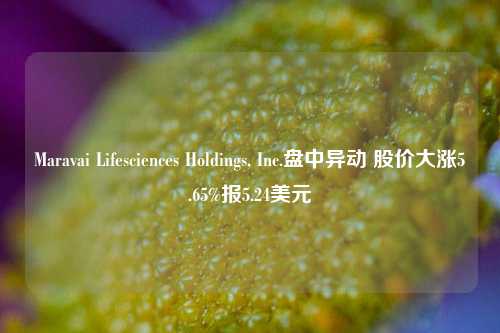 Maravai Lifesciences Holdings, Inc.盘中异动 股价大涨5.65%报5.24美元