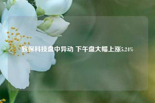 致保科技盘中异动 下午盘大幅上涨5.24%