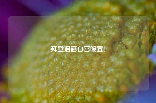 拜登泪洒白宫晚宴！