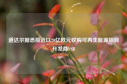 道达尔据悉接近以20亿欧元收购可再生能源项目开发商VSB